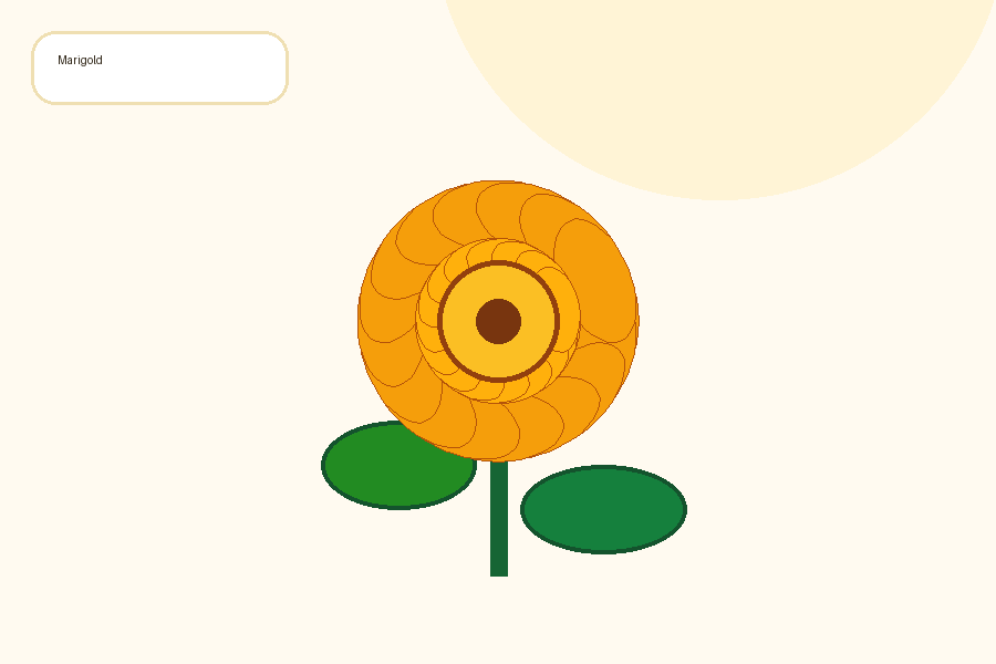A bright marigold flower illustration with green leaves